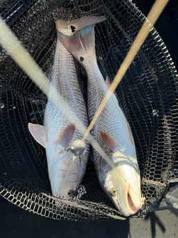 Fishing in Rockport, Texas