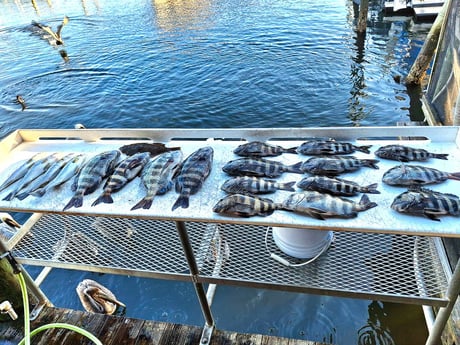 Fishing in Crystal River, Florida