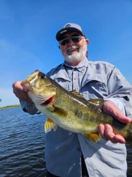 Largemouth Bass Fishing in