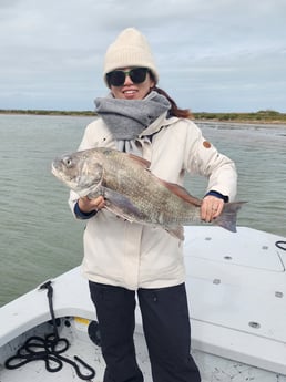 Fishing in Corpus Christi, Texas
