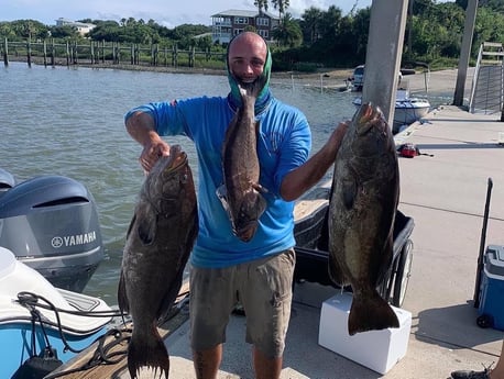 Black Grouper, Broomtail Grouper fishing in St. Augustine, Florida