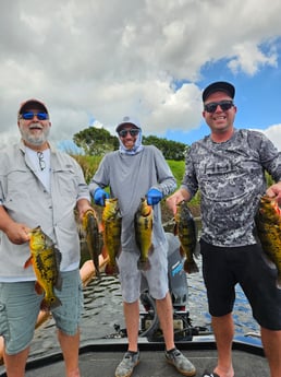 Fishing in Deerfield Beach, Florida