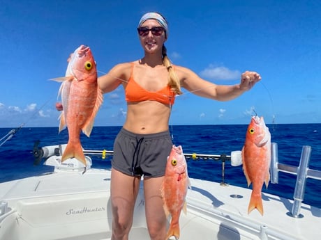 Fishing in Key West, Florida