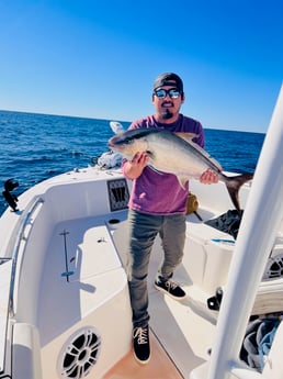 Almaco Jack Fishing in Mount Pleasant, South Carolina