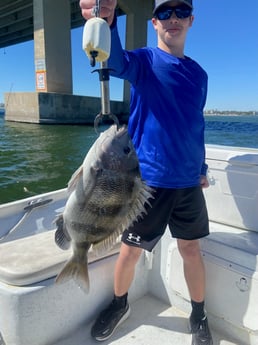 Fishing in Orange Beach, Alabama