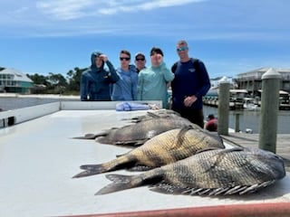 Fishing in Fort Morgan, Alabama