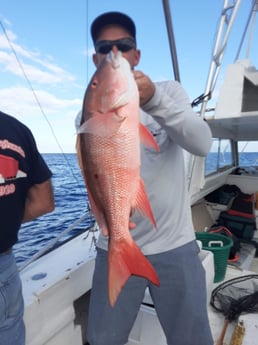 Fishing in Micco, Florida