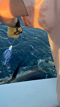 Fishing in Panama City, Florida