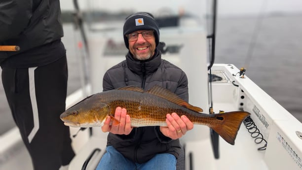 Redfish Fishing in Jacksonville, Florida