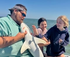 Bull Shark Fishing in