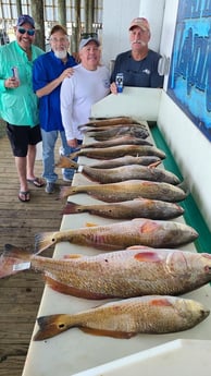 Redfish, Speckled Trout / Spotted Seatrout fishing in Port O'Connor, Texas