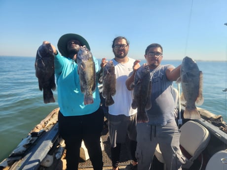 Fishing in Mastic, New York