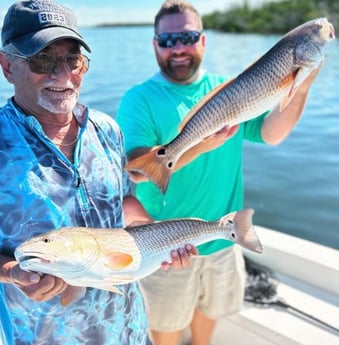 Redfish Fishing in Cape Coral, Florida