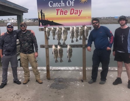 Black Drum Fishing in Rockport, Texas