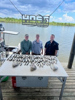 Sheepshead, Speckled Trout Fishing in Boothville-Venice, LA, USA