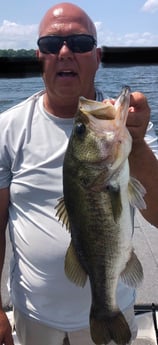 Largemouth Bass fishing in Lake Fork, Texas