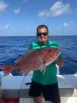 Fishing in Sarasota, Florida