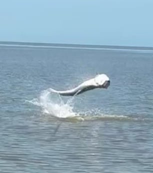 Fishing in Marco Island, Florida