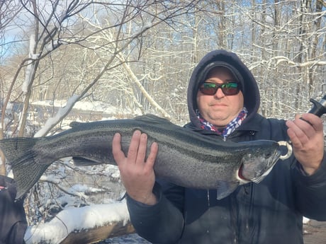 Coho Salmon fishing in Pulaski, New York