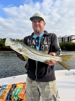 Fishing in Sarasota, Florida