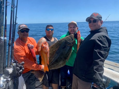 Halibut, Rockfish Fishing in Oxnard, California