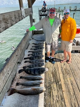 Black Drum, Redfish, Speckled Trout / Spotted Seatrout Fishing in Corpus Christi, Texas