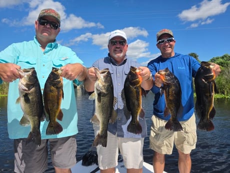 Fishing in Davie, Florida