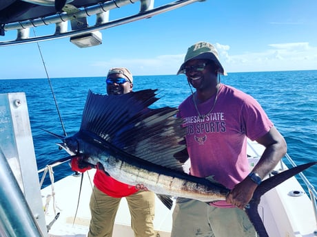 Sailfish fishing in Atlantic Beach, Florida