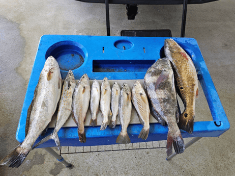 Fishing in Crystal Beach, Texas