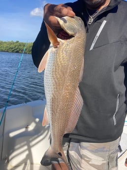 Fishing in St. Petersburg, Florida