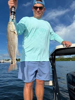 Fishing in Sarasota, Florida