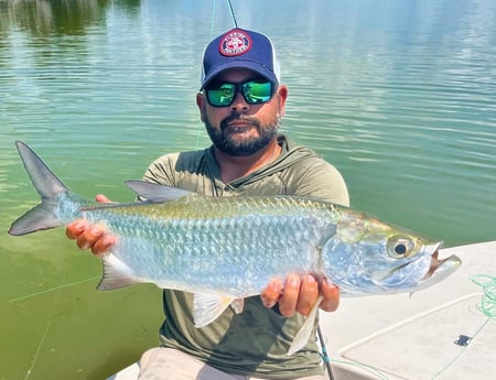 Tarpon fishing in Tavernier, Florida