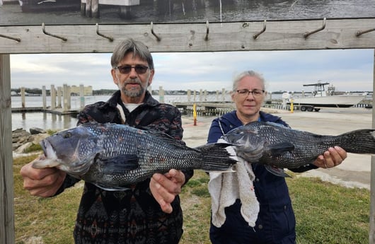 Fishing in Jacksonville, Florida