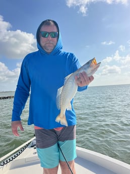 Fishing in Deer Park, Texas