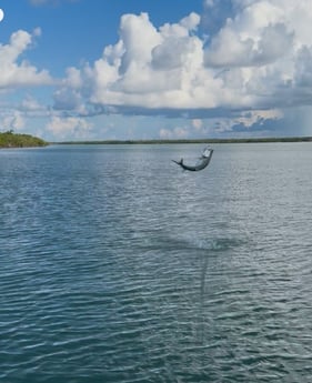 Fishing in Marco Island, Florida