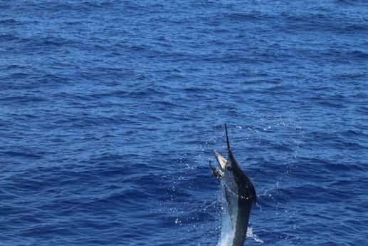 Fishing in Kailua-Kona, Hawaii