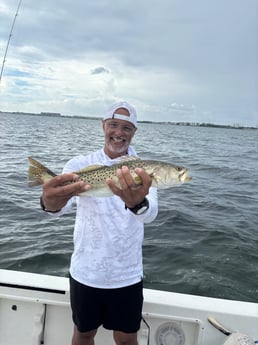 Fishing in Sarasota, Florida