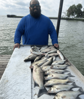 Fishing in Quinlan, Texas
