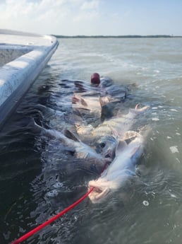 Fishing in Port Isabel, Texas