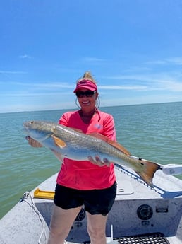 Redfish Fishing in Ingleside, Texas