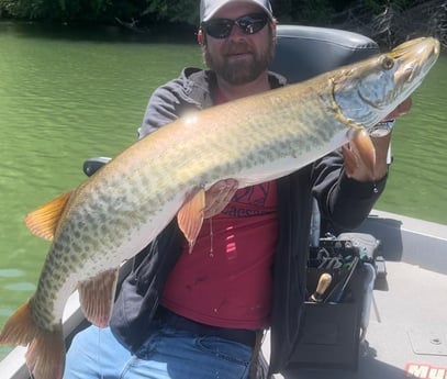 Muskie Fishing in Knoxville, Tennessee