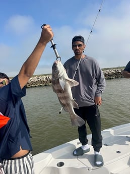 Fishing in League City, Texas