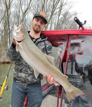 Steelhead Fishing in Manistee, Michigan
