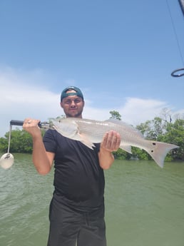 Redfish Fishing in Fort Myers, Florida