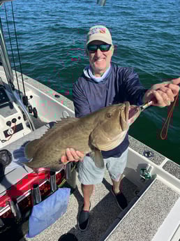 Gag Grouper Fishing in Holmes Beach, Florida