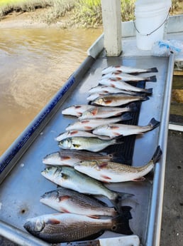 Fishing in Brunswick, Georgia