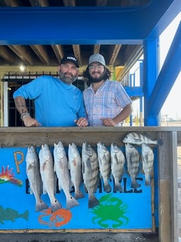Black Drum, Redfish Fishing in Port Aransas, Texas