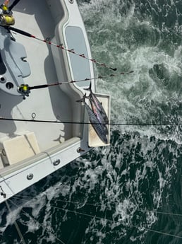 Fishing in Fort Lauderdale, Florida