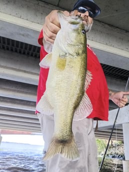 Fishing in Alba, Texas