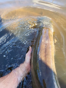 Fishing in Mosinee, Wisconsin